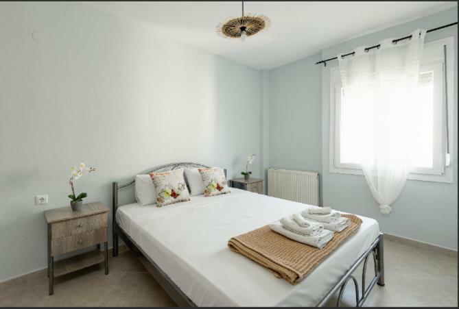 סלוניקי Bright Spacious Two-Bedroom Apartment מראה חיצוני תמונה